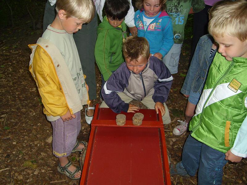 070612 skoalreiske beukers 064.jpg